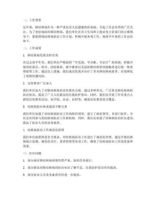 肺结核病半年工作总结