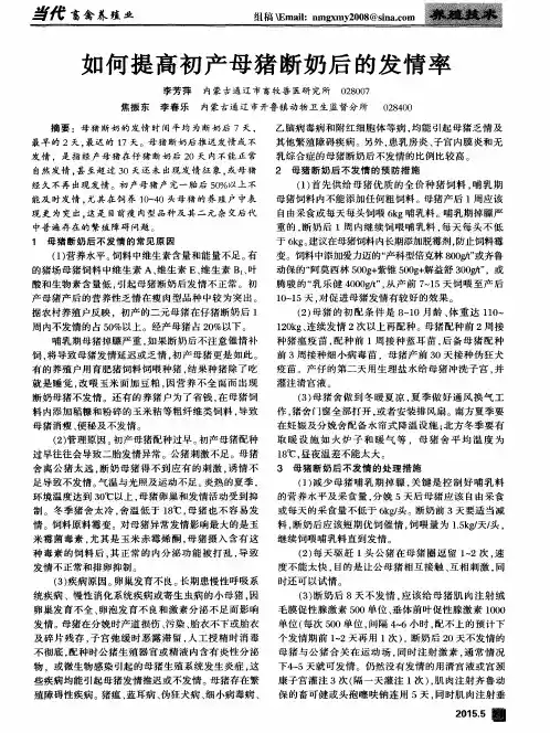 如何提高初产母猪断奶后的发情率