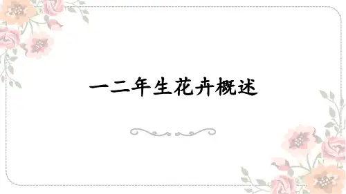 花卉生产技术：一二年生花卉概述