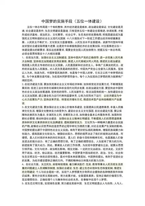 中国梦的实施手段