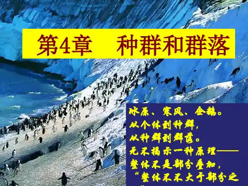 种群的特征优质示范课公开课一等奖课件省赛课获奖课件