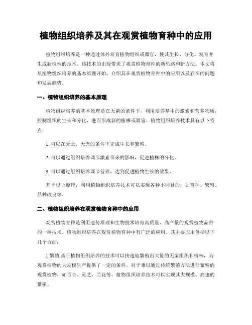 植物组织培养及其在观赏植物育种中的应用
