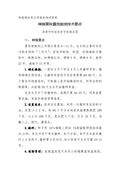 辣椒夏秋露地栽培技术要点