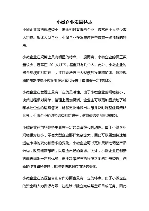 小微企业发展特点