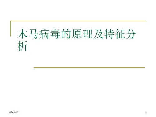 木马病毒原理及特征分析