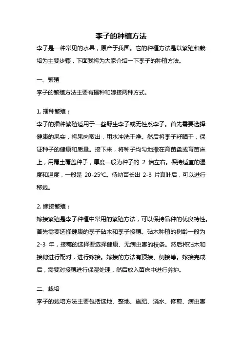 李子的种植方法
