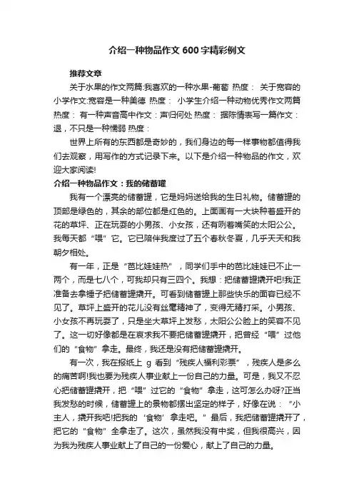 介绍一种物品作文600字精彩例文