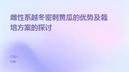 雌性系越冬密刺黄瓜的优势及栽培方案的探讨