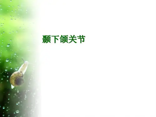 【口腔医学】颞下颌关节PPT课件