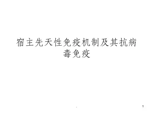 先天性免疫信号通路