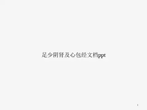 足少阴肾及心包经ppt课件