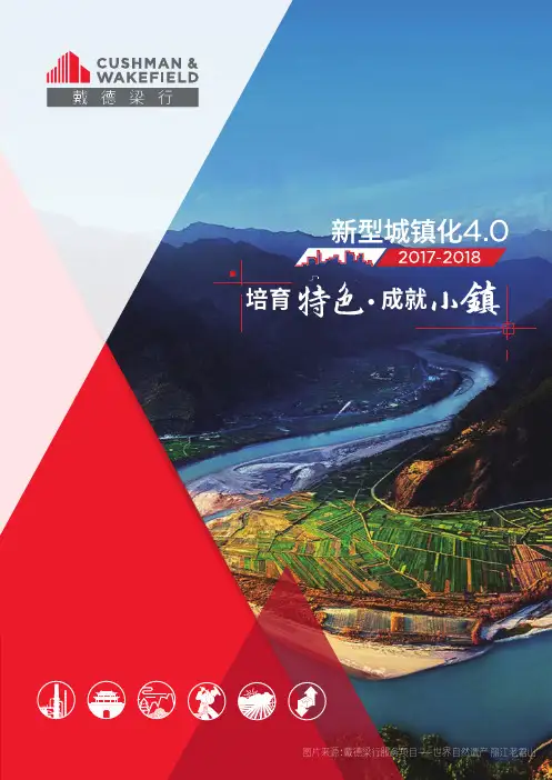 戴德梁行特色小镇白皮书