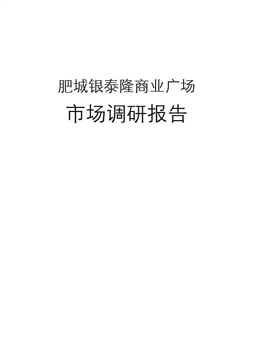 肥城市泰隆商业广场市场调研报告