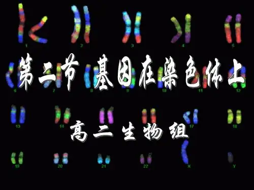 伴性遗传+人类遗传病ppt课件