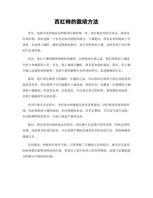 西红柿的栽培方法