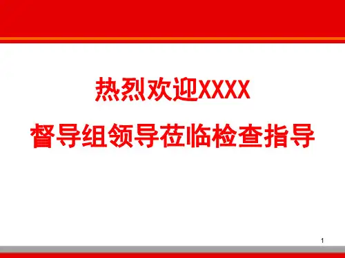 安全生产大检查汇报ppt课件
