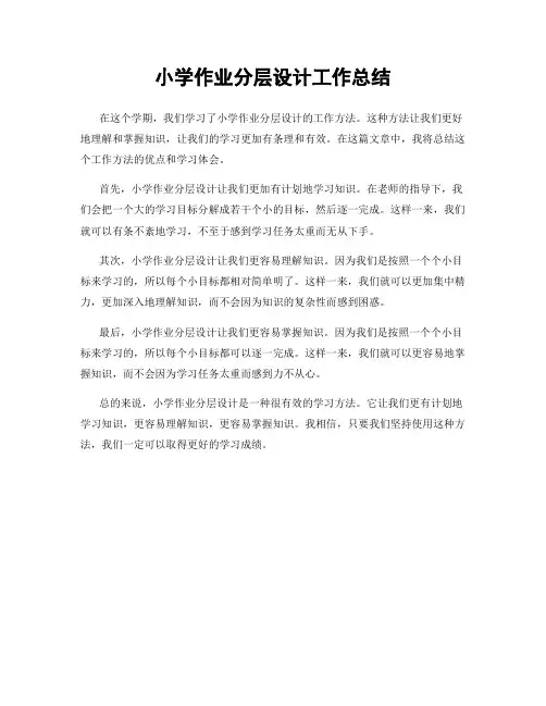 小学作业分层设计工作总结