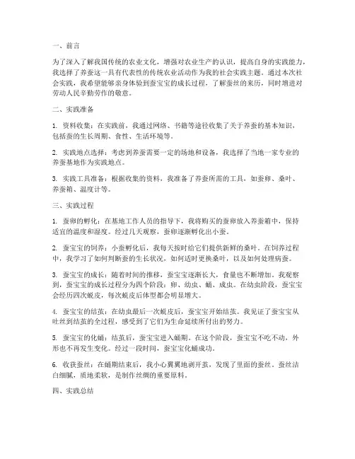 关于养蚕的社会实践报告
