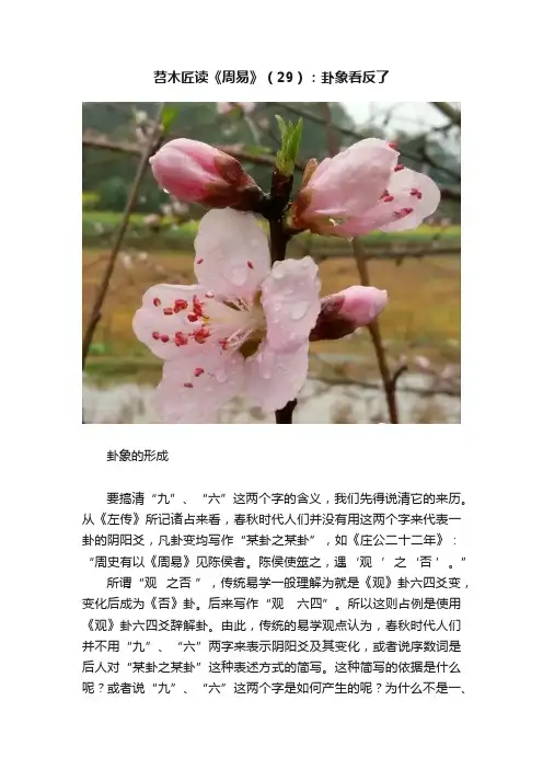 苕木匠读《周易》（29）：卦象看反了