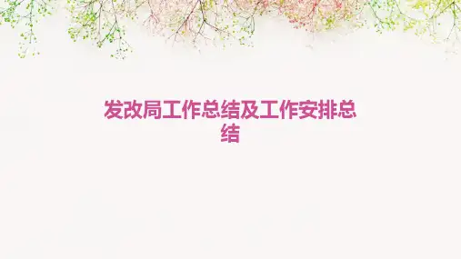 发改局工作总结及工作安排总结PPT