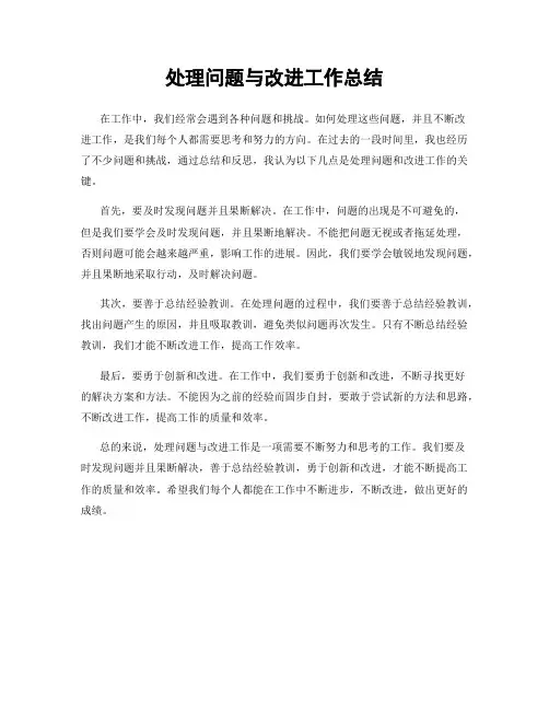 处理问题与改进工作总结