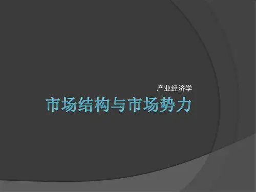 产业组织学——市场结构与市场势力(s)