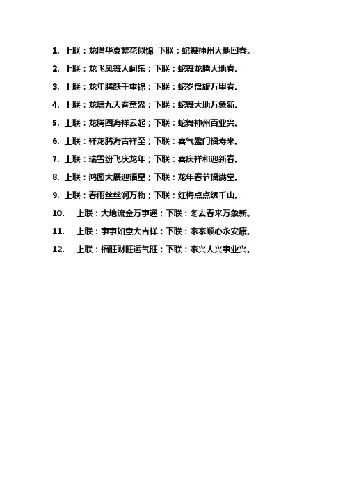 2024年 龙年 对联