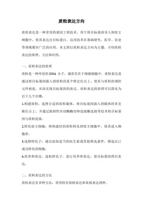 质粒表达方向