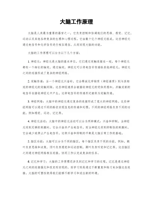 大脑工作原理