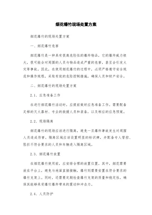 烟花爆竹现场处置方案
