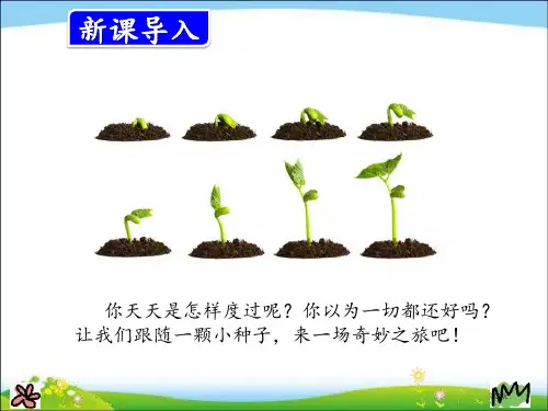 最新人教版部编本三年级上册语文9.那一定会很好市公开课一等奖省优质课获奖课件