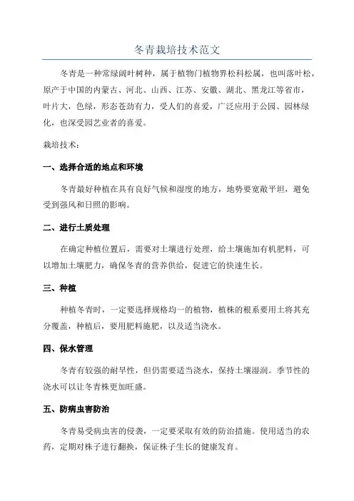 冬青栽培技术范文