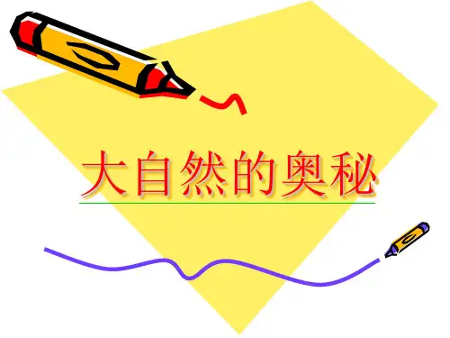 大自然的奥秘的PPT