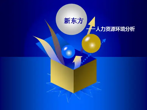 新东方人力资源环境分析