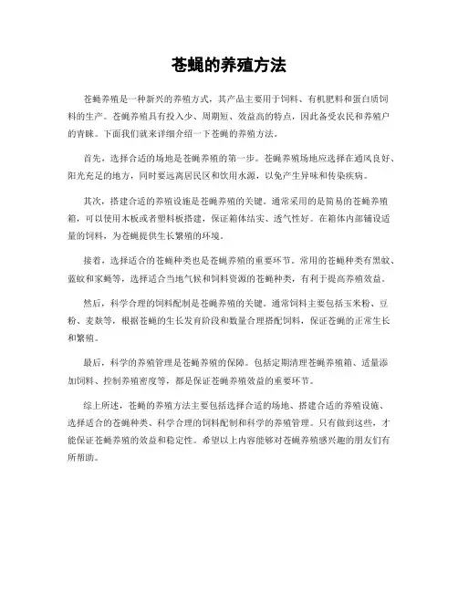 苍蝇的养殖方法