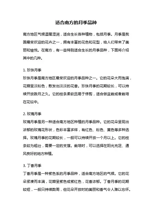 适合南方的月季品种