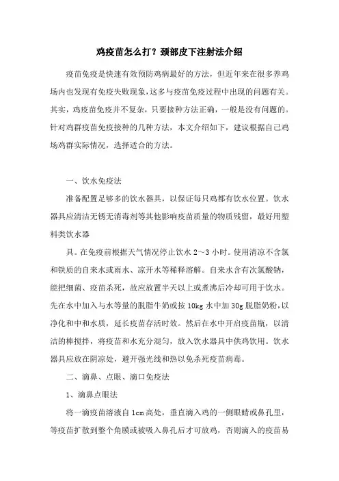 鸡疫苗怎么打？颈部皮下注射法介绍
