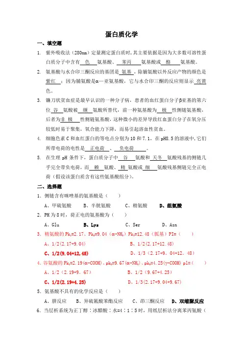 蛋白质化学试题