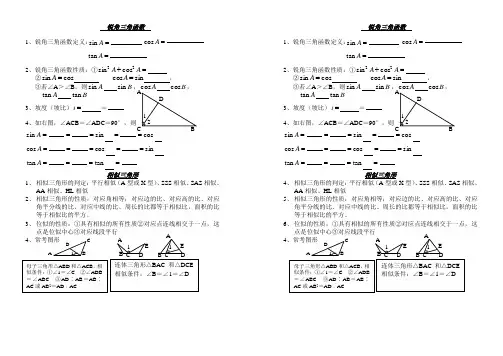 锐角三角函数和相似三角形