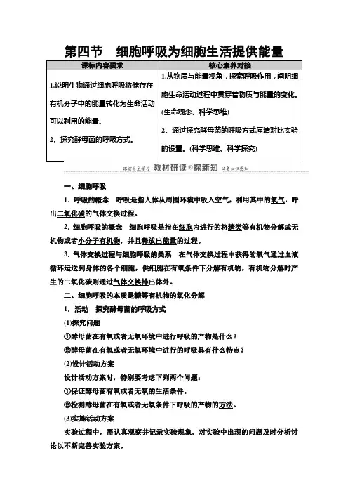 2021版高中生物新教材浙科版必修第一册教案：第3章 第4节 细胞呼吸为细胞生活提供能量 (含解析)