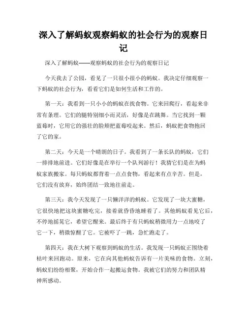小学三年级作文深入了解蚂蚁观察蚂蚁的社会行为的观察日记