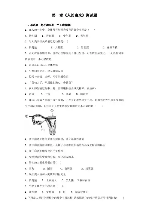人教版初中生物七年级下册第四单元第一章《人的由来》测试题(含答案)
