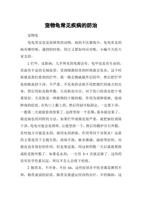宠物龟常见疾病的防治