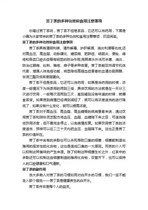 苦丁茶的多种功效和食用注意事项