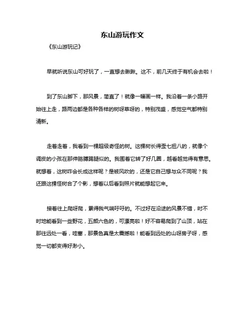 东山游玩作文