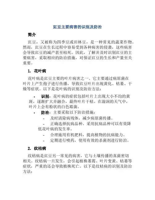 豇豆主要病害的识别及防治