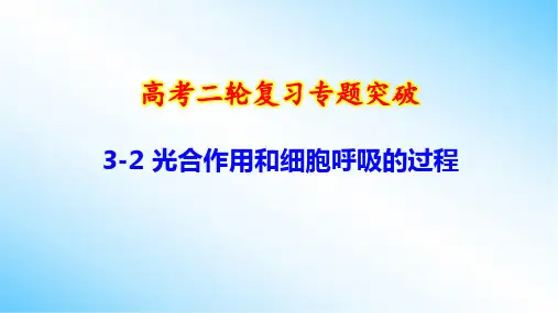 高考二轮复习专题突破：3-2 光合作用和细胞呼吸的过程