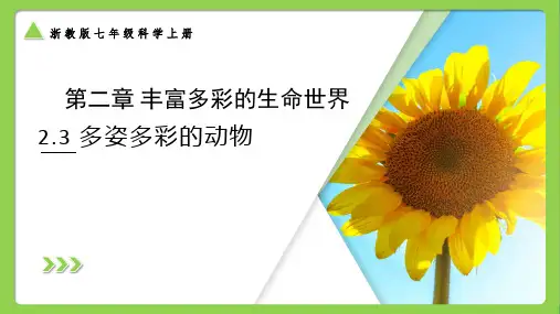 浙教版科学七上多姿多彩的动物(课件27张)