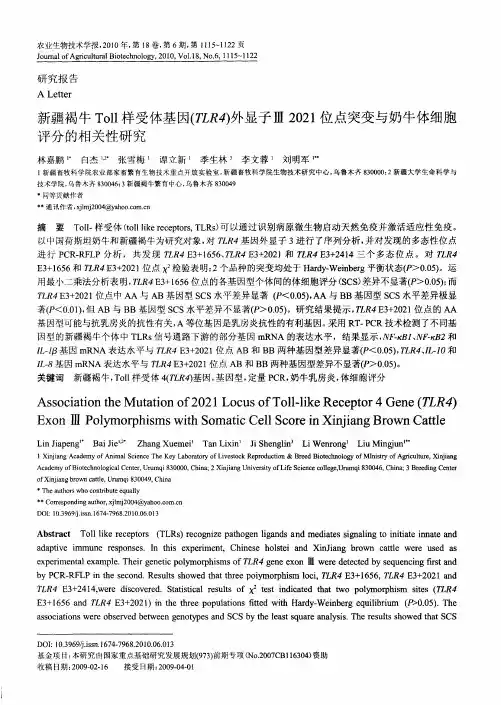 新疆褐牛Toll样受体基因(TLR4)外显子Ⅲ2021位点突变与奶牛体细胞评分的相关性研究