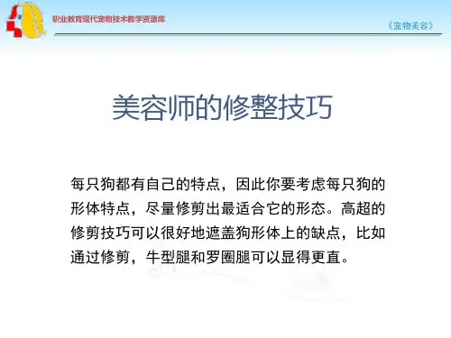 宠物美容的修整技巧.ppt